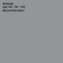 #929696 - Mountain Mist Color Image
